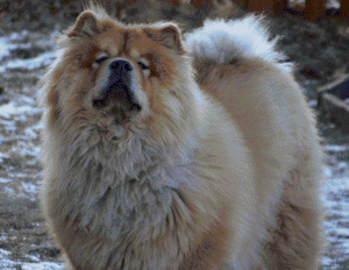 Travis - предпросмотр