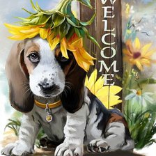 Добро пожаловать!