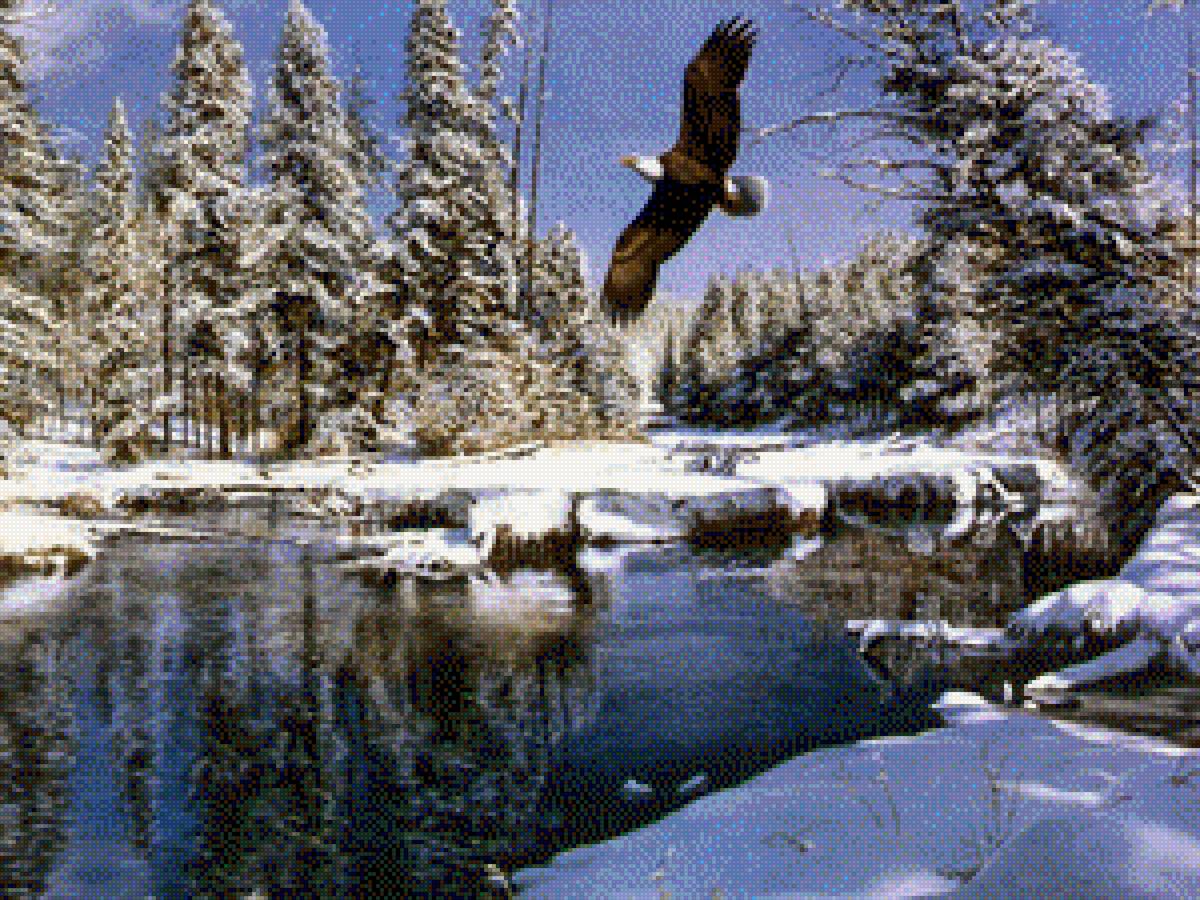 орел зима - орел зима - предпросмотр