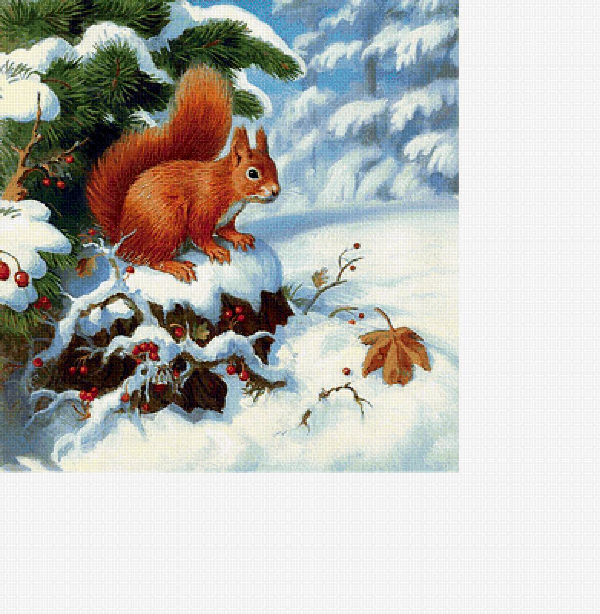 Белочка - ягоды, снег, животные, белка, зима - предпросмотр