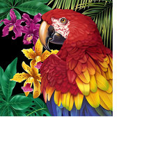 Красивый попугай