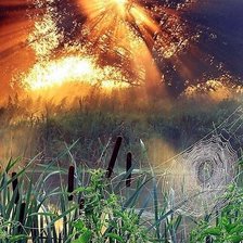 Схема вышивки «ЛЕТО»