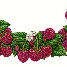 Схема вышивки «для кухни»