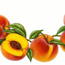 Схема вышивки «для кухни 3»