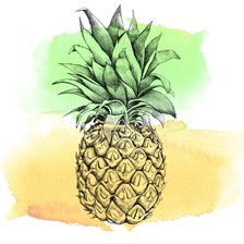 Схема вышивки «ананас 2»