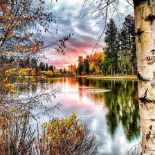 Схема вышивки «природа»