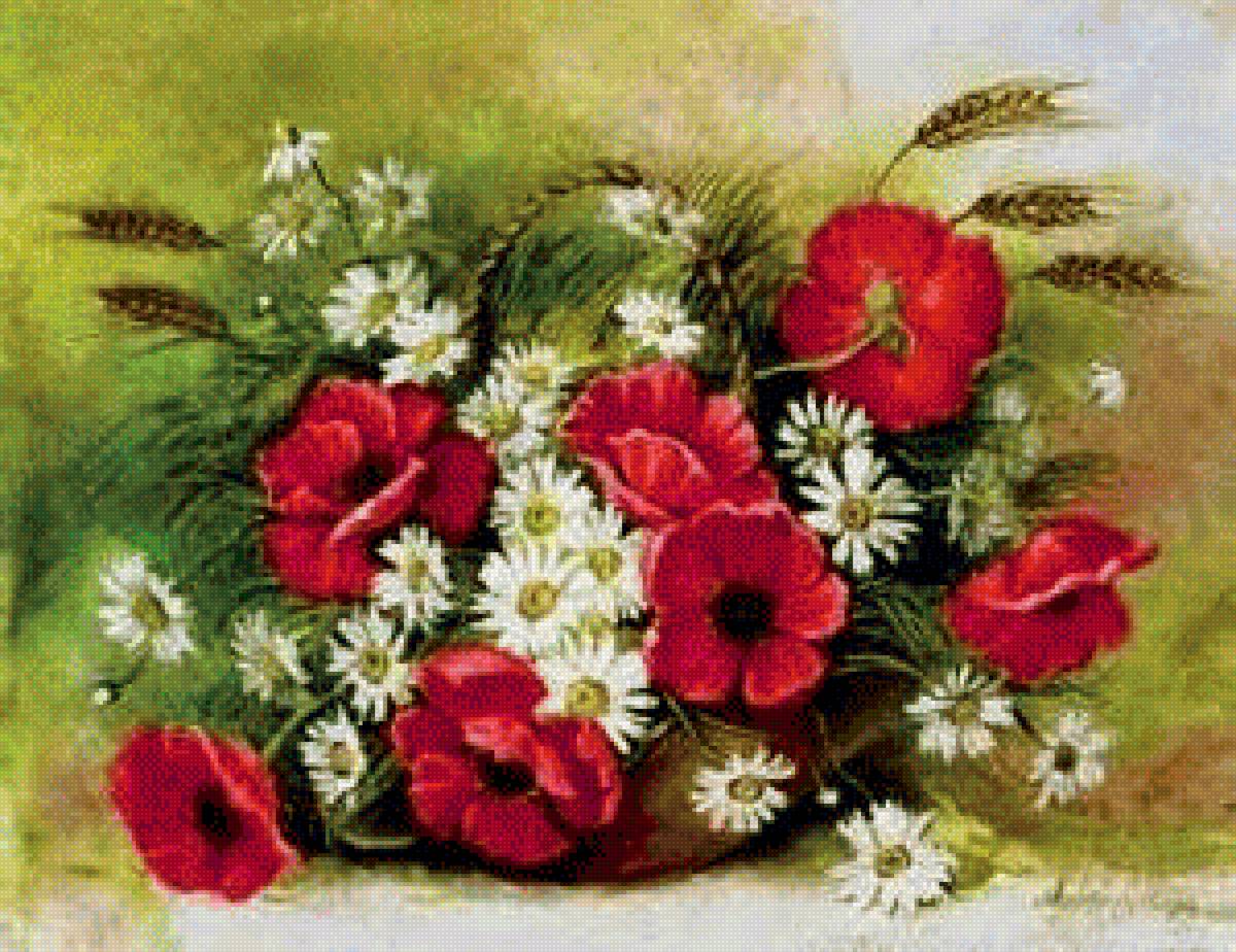 Маки - натюрморт, букет, маки, ромашки, цветы, композиция - предпросмотр