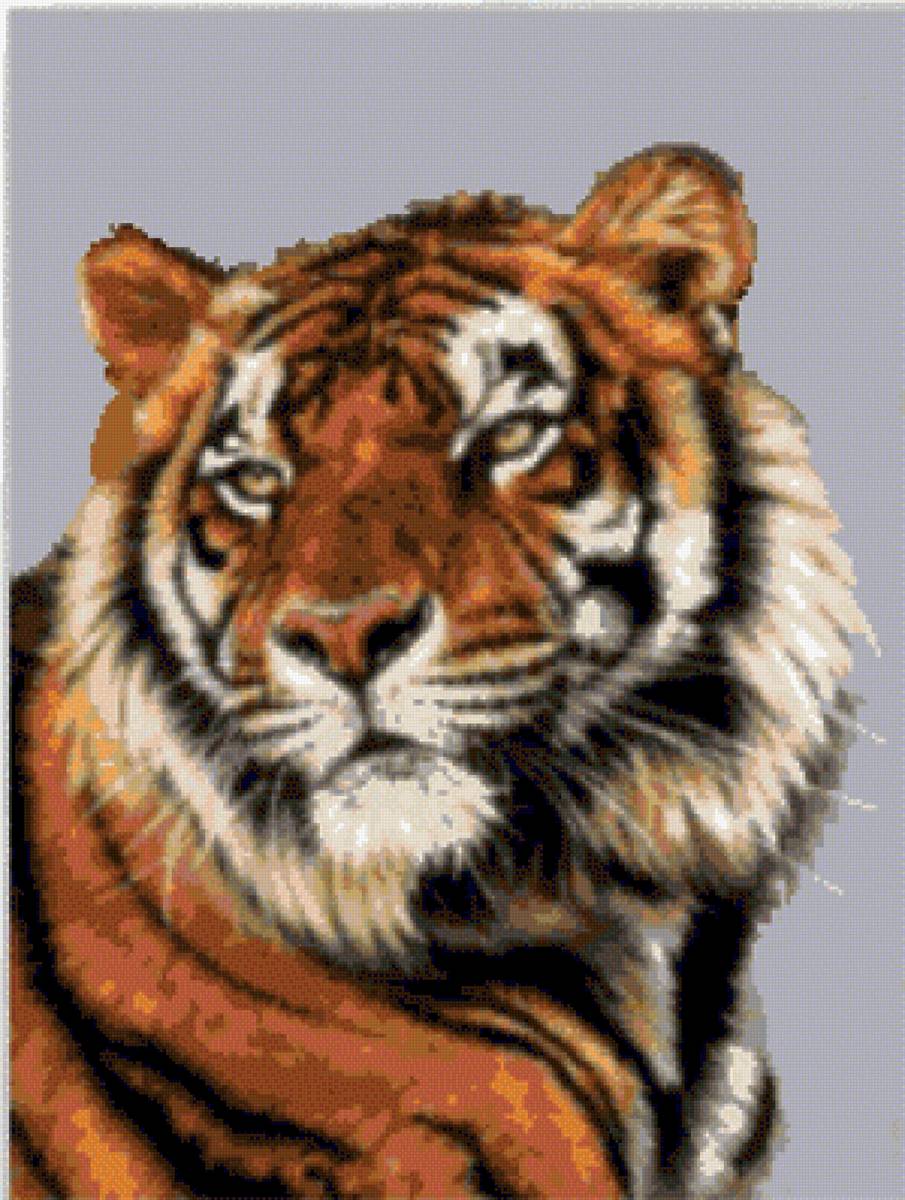 TIGUR-8 - kotki - предпросмотр