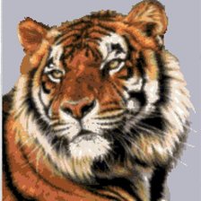 Схема вышивки «TIGUR-8»