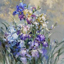 Ирисы