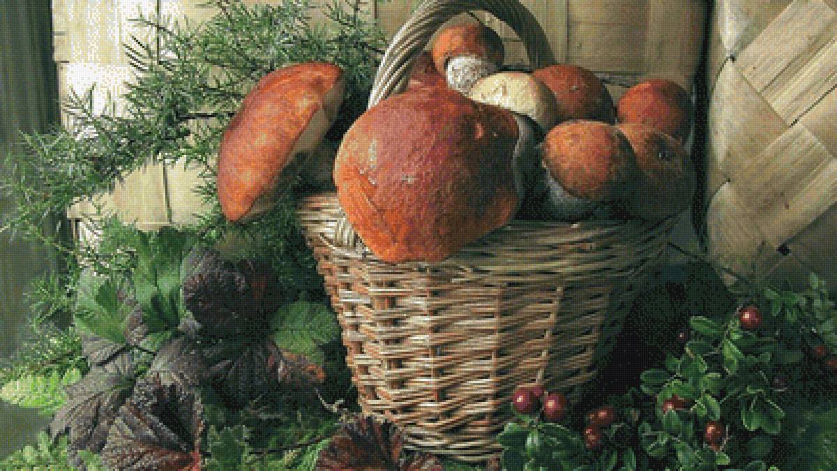 дары леса - предпросмотр