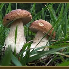 Схема вышивки «№1505426»