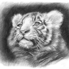 Схема вышивки «рисунок карандашом»