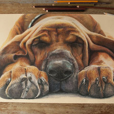 Схема вышивки «№1505451»