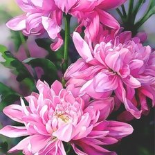 Схема вышивки «№1506073»