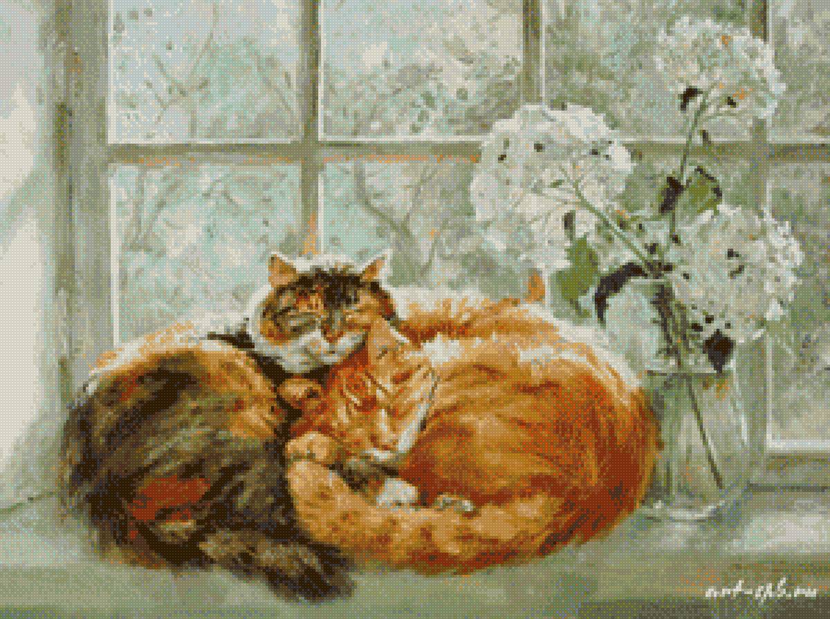 спящие котики - котики - предпросмотр