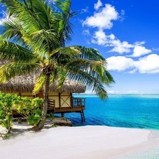 Схема вышивки «Карибы»