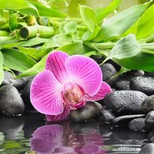 Схема вышивки «1»