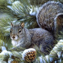 Схема вышивки «белочка»