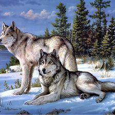 Схема вышивки «Волки»