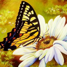 Схема вышивки «Махаон»