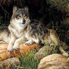 Схема вышивки «волки»