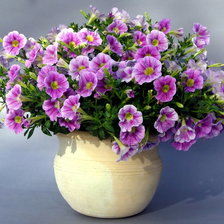 Схема вышивки «цветы в вазе»