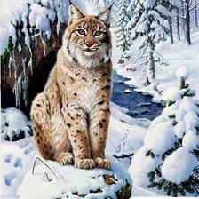 Схема вышивки «Мир животных»