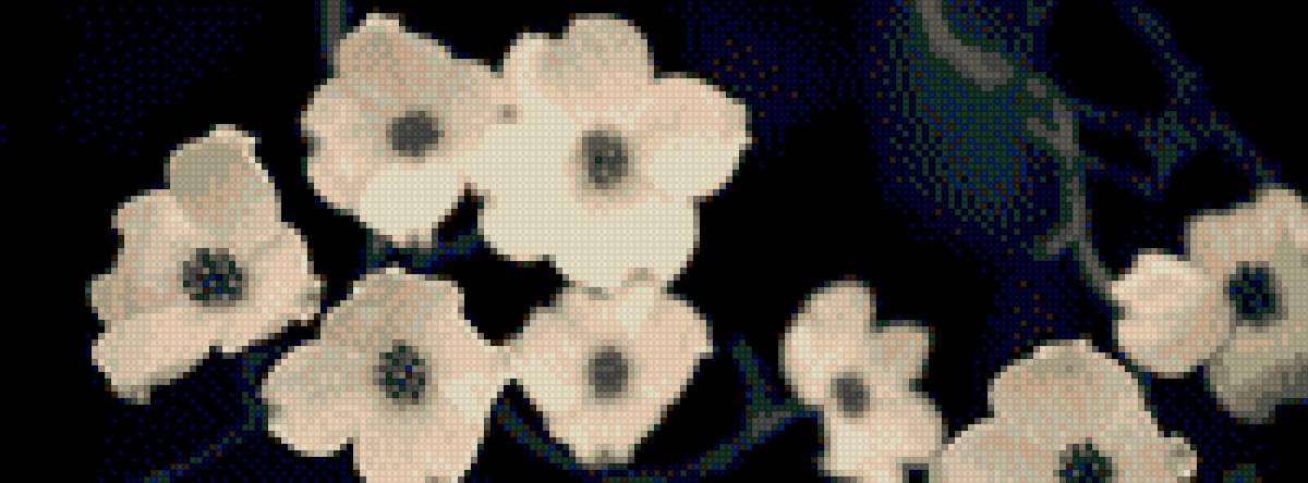 cveti - jjjjj - предпросмотр