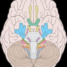 Схема вышивки «ЧМН»