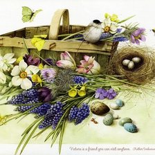 Схема вышивки «Jarní»