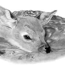 Схема вышивки «Олененок»