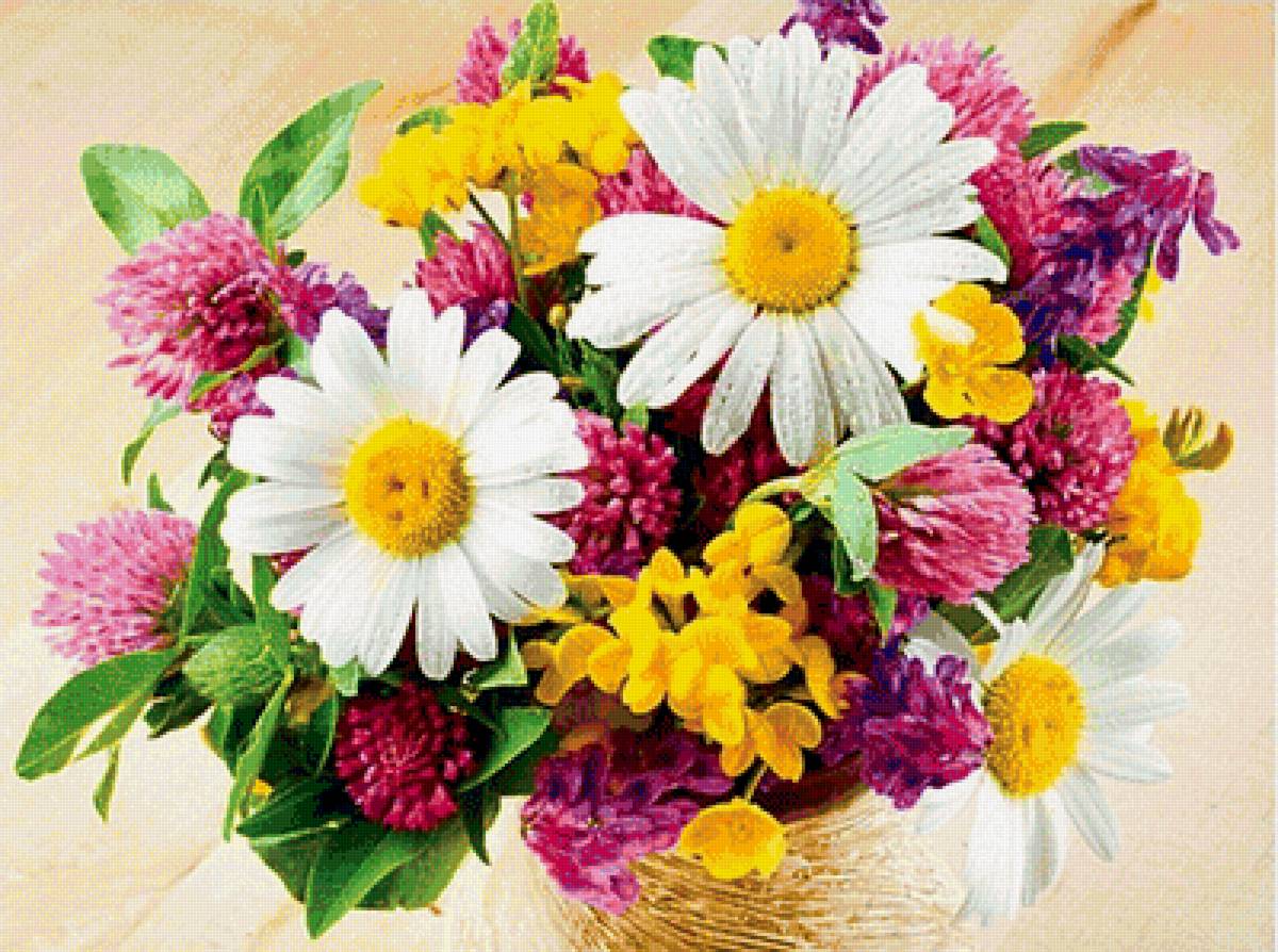 Букет ассорти - клевер, ромашки - предпросмотр