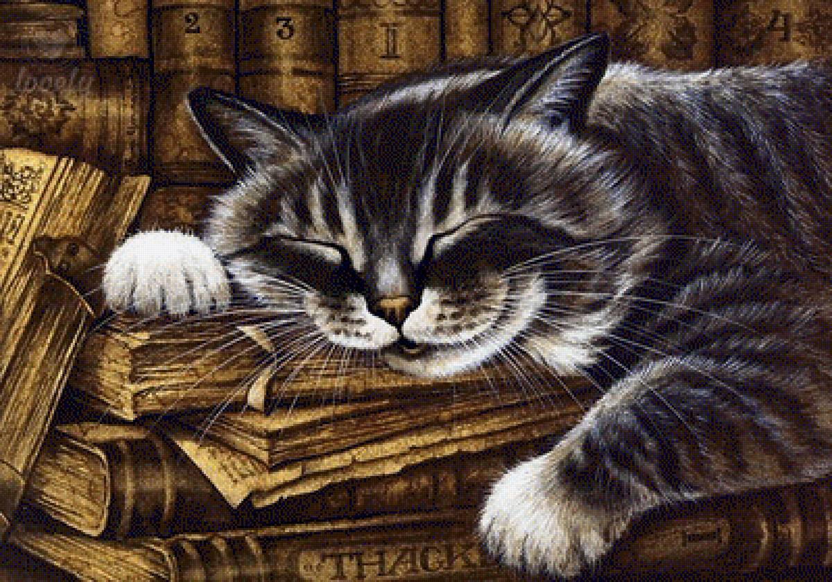 Kot - предпросмотр