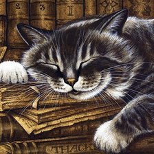 Схема вышивки «Kot»