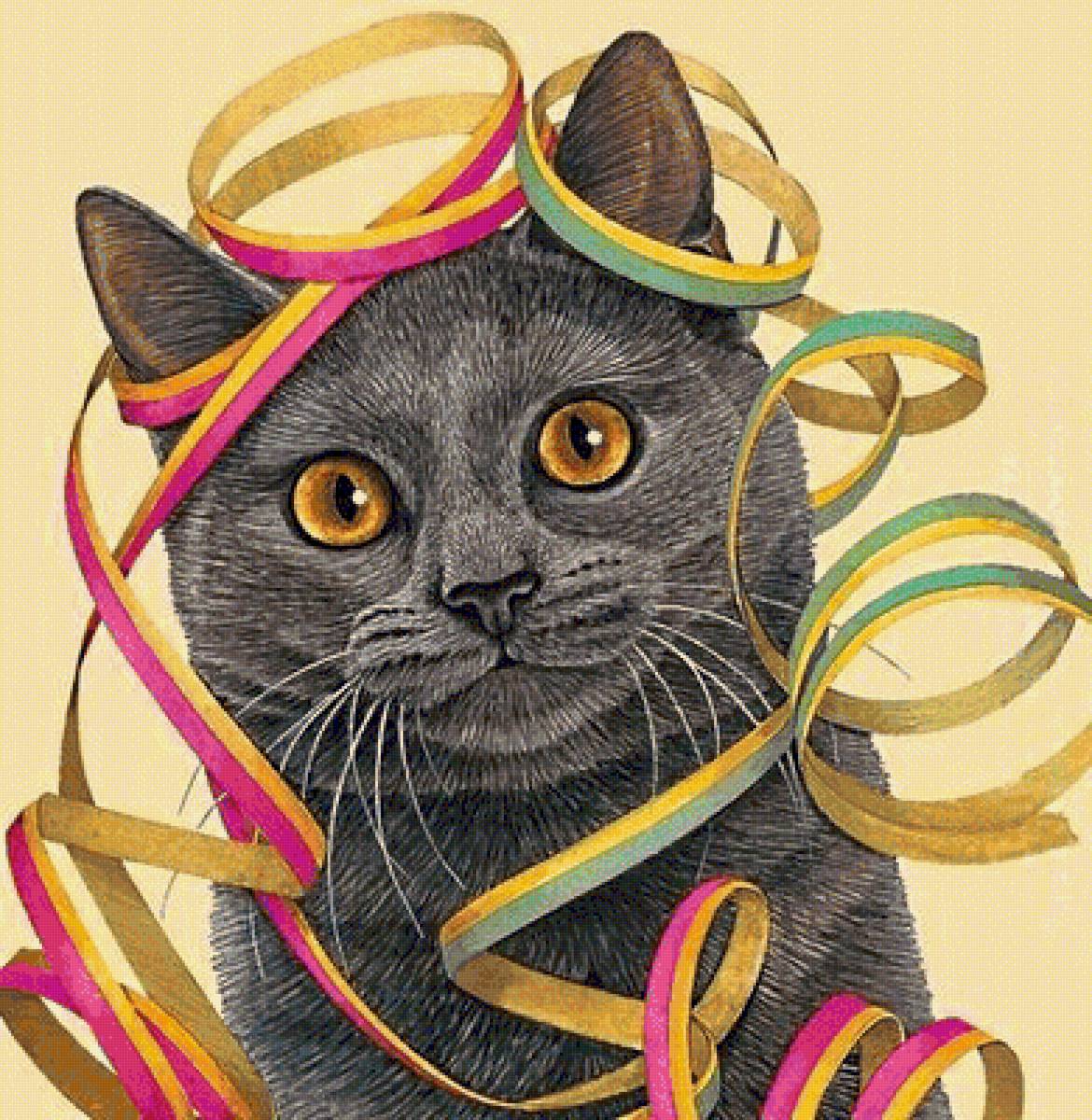 британский Лорд - кот, британский голубой, кошка, домашние животные - предпросмотр