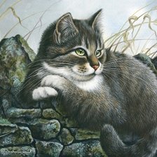 Схема вышивки «Котик»