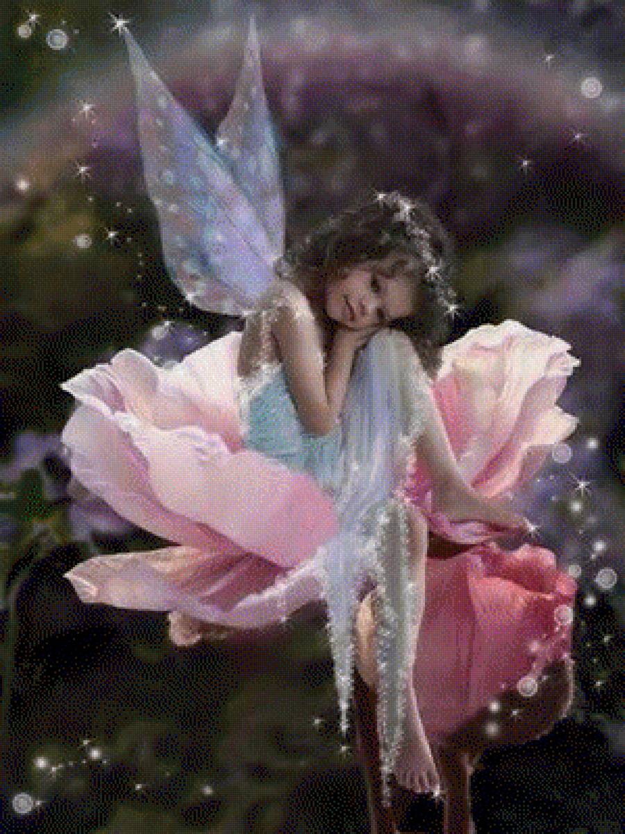 Růže 1 - предпросмотр