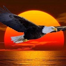 Схема вышивки «орел на закате»