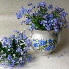 Схема вышивки «незабудки»