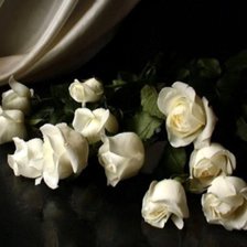 Схема вышивки «Розы»