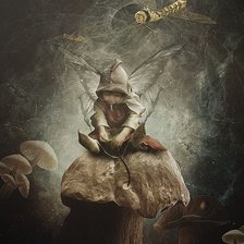 Схема вышивки «Na houbě»