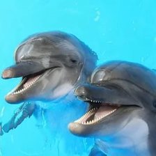 Схема вышивки «Дельфины»