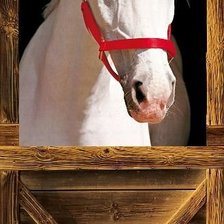 Схема вышивки «Лошади»