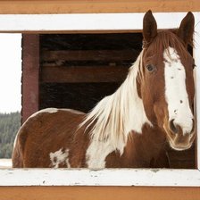 Схема вышивки «Лошади»