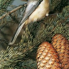 Схема вышивки «№1511736»