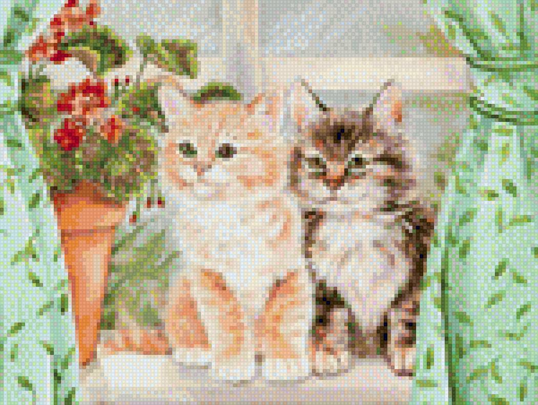 У окно - коты, окно - предпросмотр