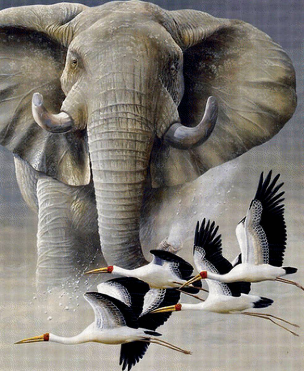 Мир животных - журавли, слон, животное - предпросмотр