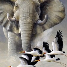 Схема вышивки «Мир животных»