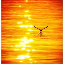 Схема вышивки «МОРСКОЕ ОЧАРОВАНИЕ»